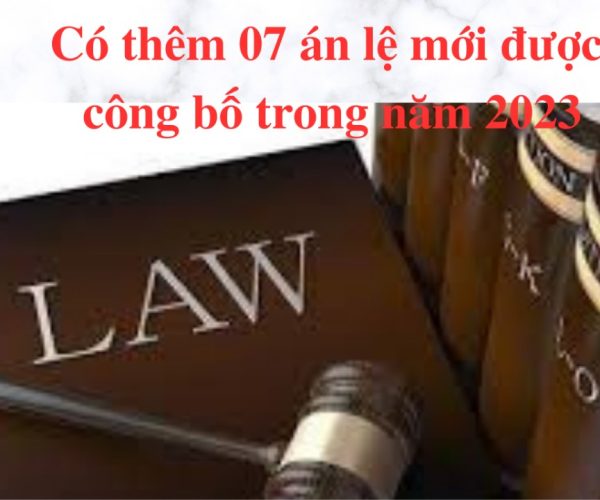 Kể từ ngày 27/03/2023 sẽ có thêm 7 án lệ mới được Tòa án nhân dân tối cao công bố