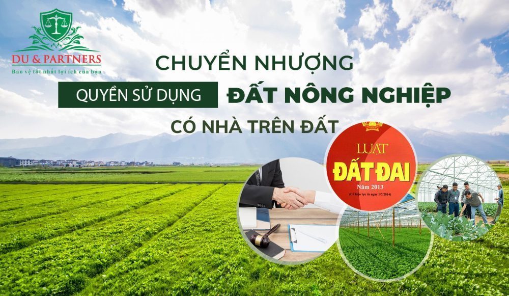 Chuyển nhượng quyền sử dụng đất nông nghiệp có nhà trên đất, được hay không?